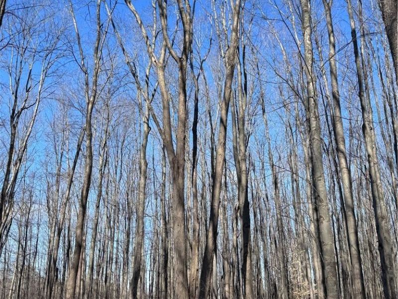 V/L 3 Painesville Warren Rd., Leroy, OH 44077 Photo 4