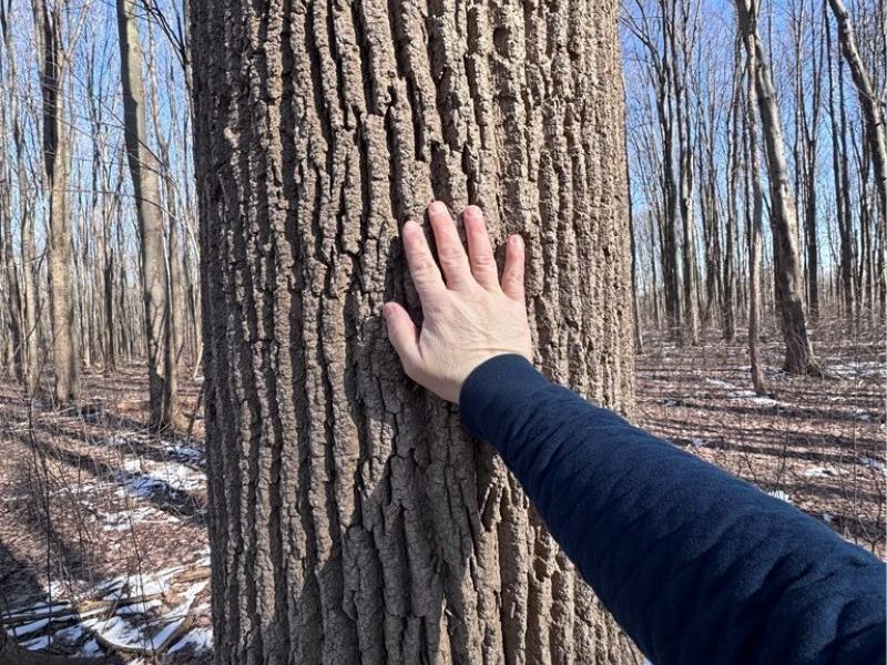 V/L 3 Painesville Warren Rd., Leroy, OH 44077 Photo 6