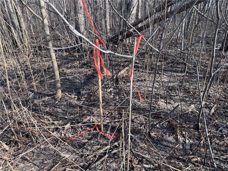 V/L 3 Painesville Warren Rd., Leroy, OH 44077 Photo 9