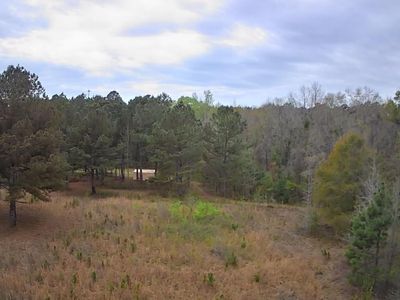Tbd Salcro Lane Interior Parcel Highway, Smoaks, SC 29481