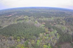 Tbd Salcro Lane Interior Parcel Highway photo 4