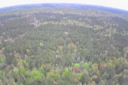 Tbd Salcro Lane Interior Parcel Highway photo 4