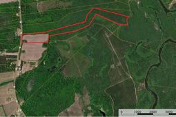 7753 Augusta Highway photo 4