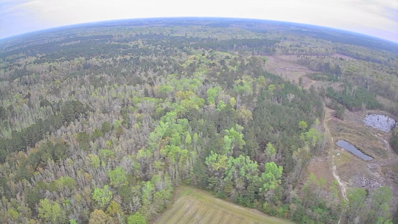 7753 Augusta Highway Photo 3