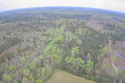 7753 Augusta Highway photo 4