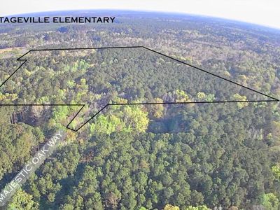 Tbd Majestic Oak Way, Cottageville, SC 29435