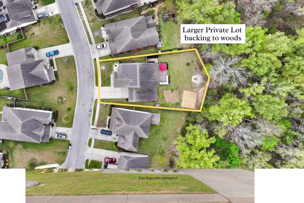 9707 Cutleaf Drive Photo 5