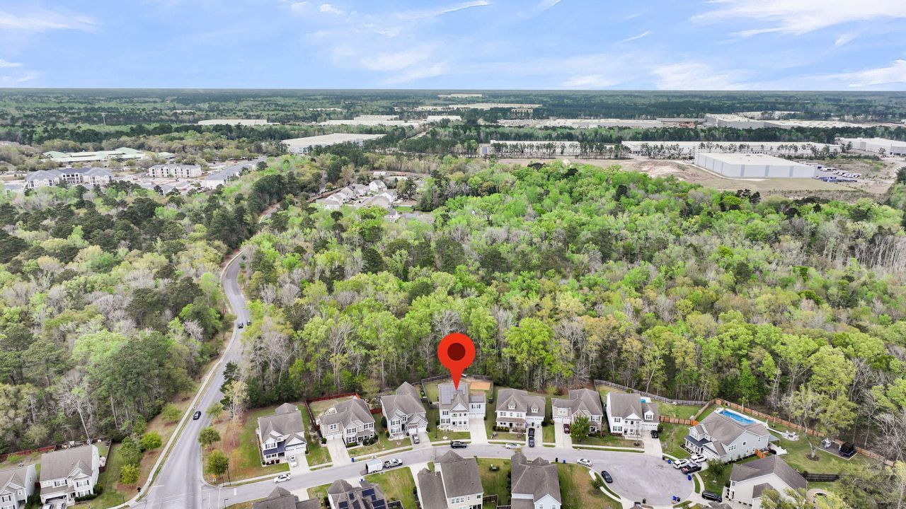 9707 Cutleaf Drive Photo 6