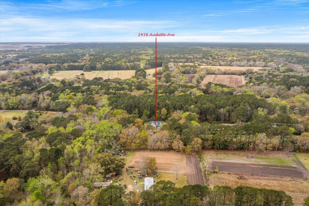 2458 Audette Avenue Photo 87