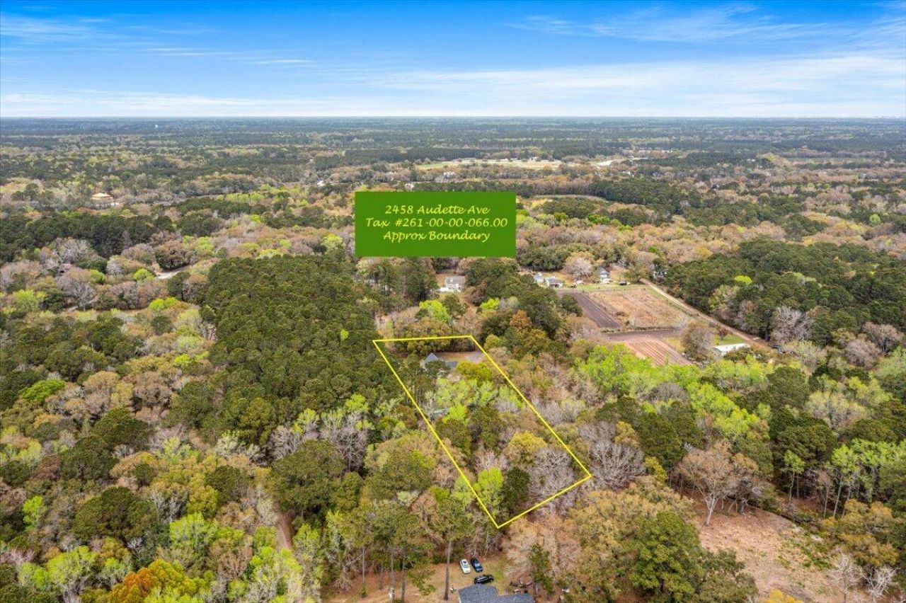 2458 Audette Avenue Photo 89