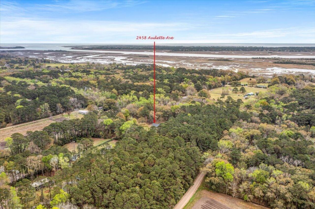 2458 Audette Avenue Photo 89