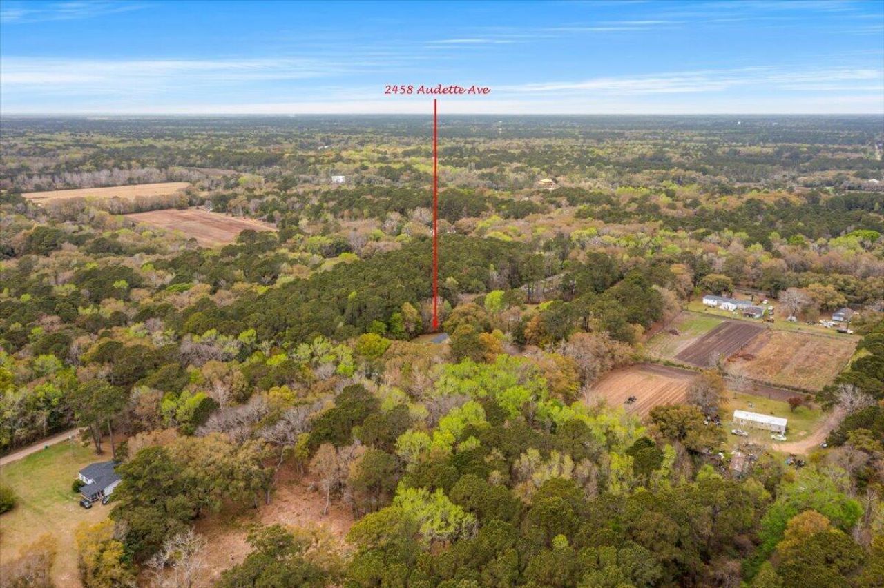 2458 Audette Avenue Photo 91