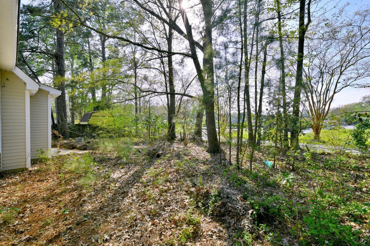 102 Sago Palm Court Photo 22