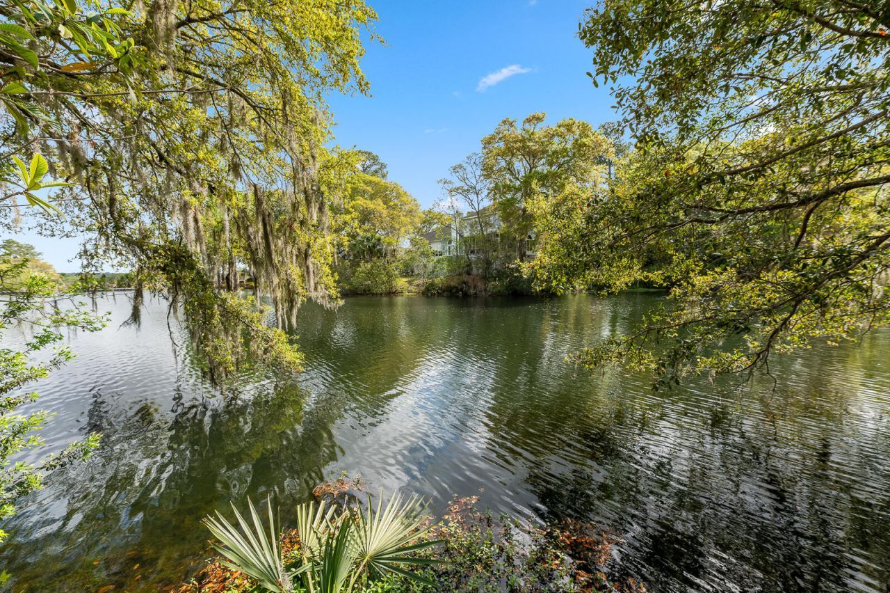 3176 Hagerty Drive Photo 35