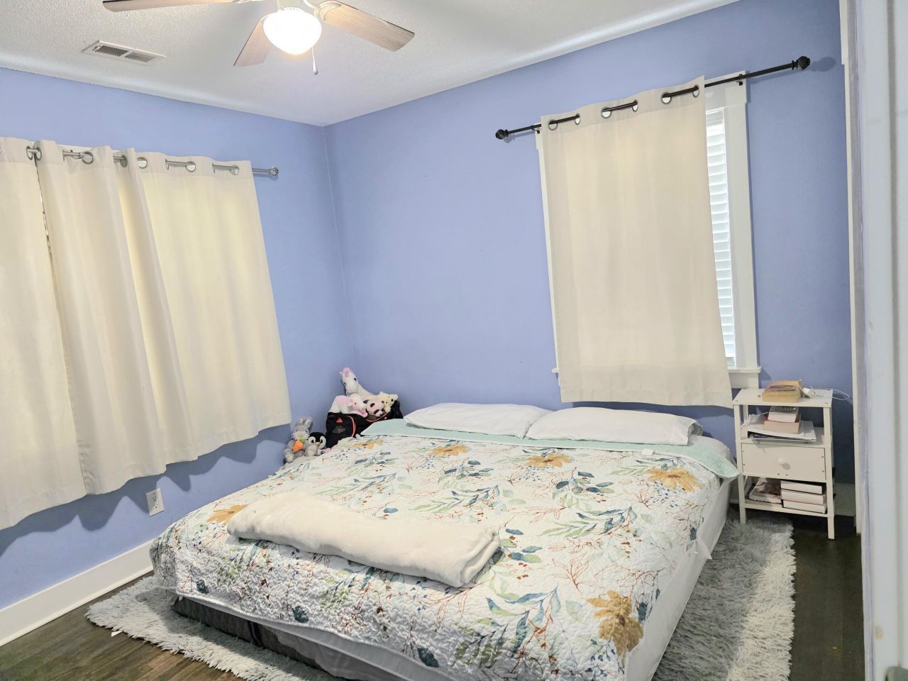 209 Janice Street Photo 17