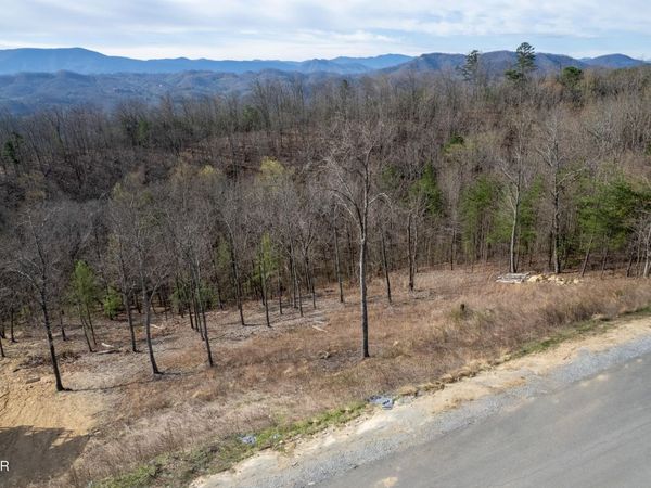 Lot 102 Laurel Cove Trail, Sevierville, TN 37862
