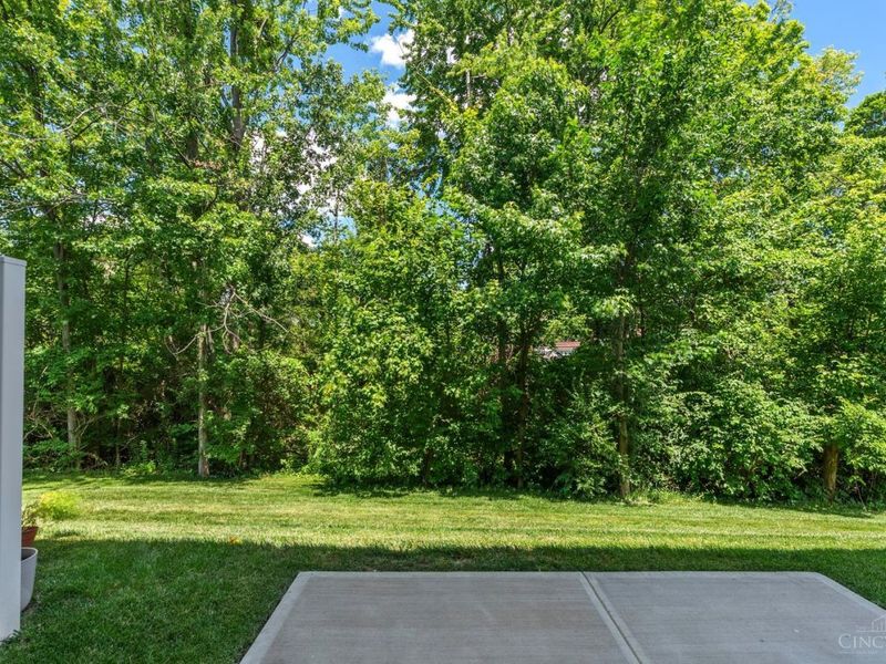 9862 Dunlap Drive, Colerain Township, OH 45251 Photo 51
