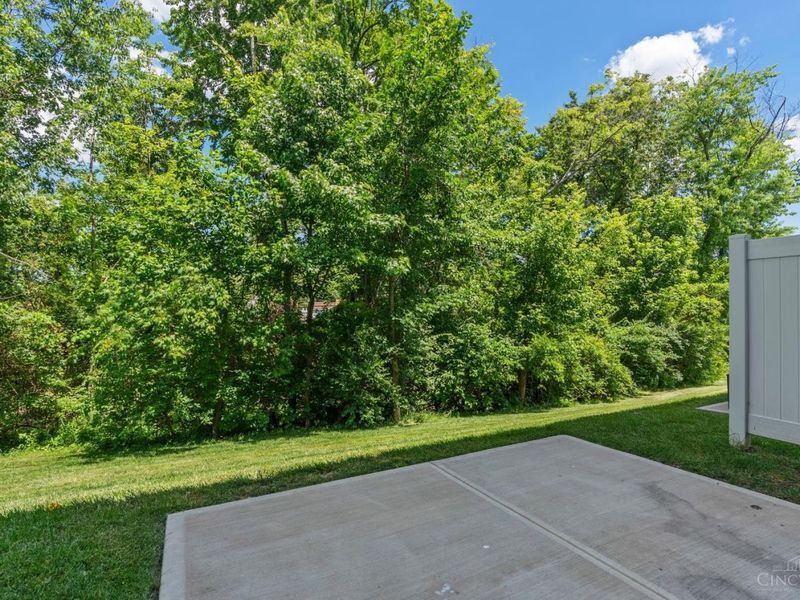 9862 Dunlap Drive, Colerain Township, OH 45251 Photo 52