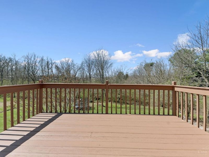 2679 Crane Schoolhouse Road, Bethel, OH 45106 Photo 35