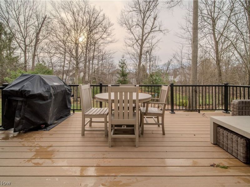 185 Beaumont Trail, Aurora, OH 44202 Photo 39