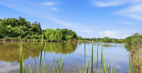 8867 Chex Ct, Elk Grove, CA 95624 Photo