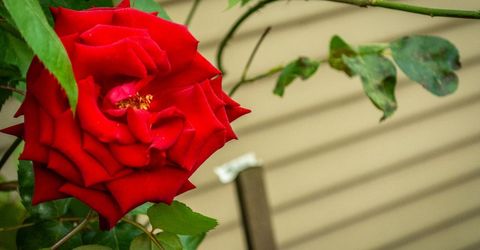 427 Wyndgate Rd, Sacramento, CA 95864 Photo