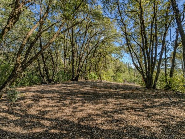 16490 Ponderosa Way, Volcano, CA 95689