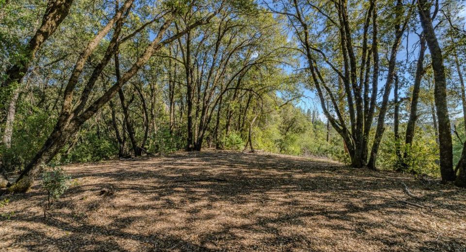 16490 Ponderosa Way, Volcano, CA 95689 Photo