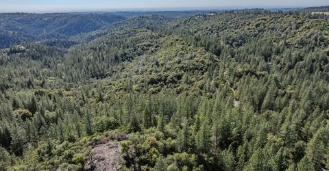 16490 Ponderosa Way, Volcano, CA 95689 Photo