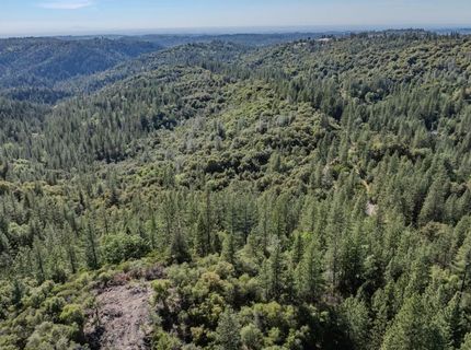 16490 Ponderosa Way, Volcano, CA 95689 Photo