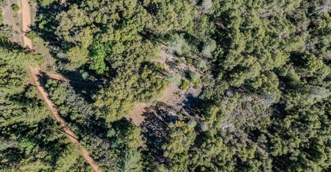 16490 Ponderosa Way, Volcano, CA 95689 Photo