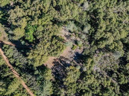 16490 Ponderosa Way, Volcano, CA 95689 Photo