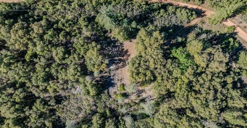 16490 Ponderosa Way, Volcano, CA 95689 Photo
