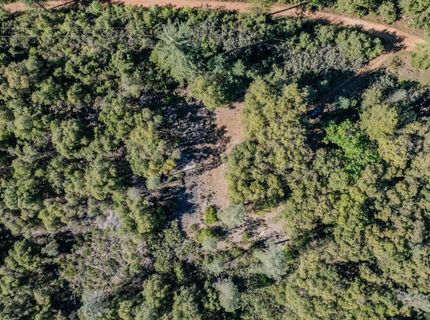 16490 Ponderosa Way, Volcano, CA 95689 Photo