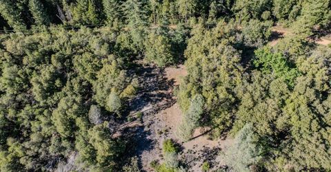 16490 Ponderosa Way, Volcano, CA 95689 Photo