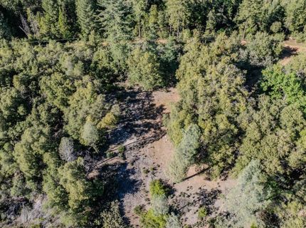 16490 Ponderosa Way, Volcano, CA 95689 Photo