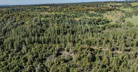 16490 Ponderosa Way, Volcano, CA 95689 Photo