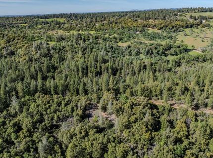 16490 Ponderosa Way, Volcano, CA 95689 Photo