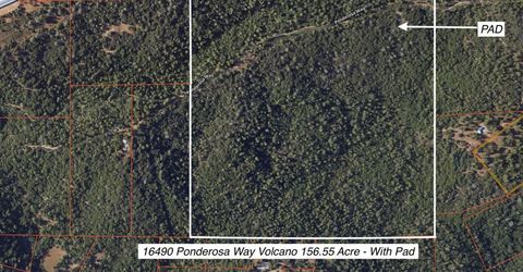 16490 Ponderosa Way, Volcano, CA 95689 Photo