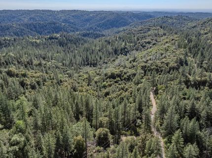 16490 Ponderosa Way, Volcano, CA 95689 Photo