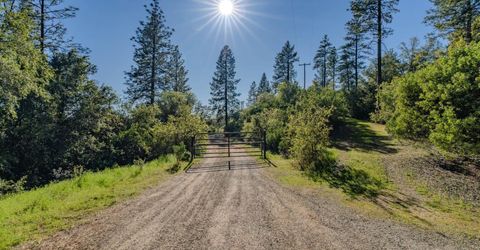 16490 Ponderosa Way, Volcano, CA 95689 Photo
