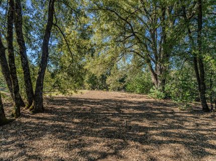 16490 Ponderosa Way, Volcano, CA 95689 Photo