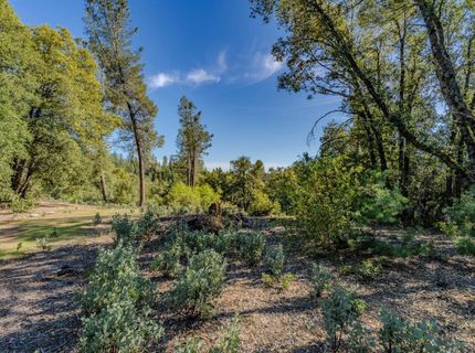 16490 Ponderosa Way, Volcano, CA 95689 Photo