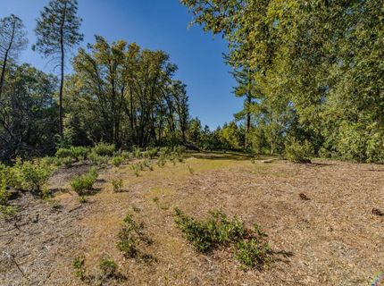 16490 Ponderosa Way, Volcano, CA 95689 Photo