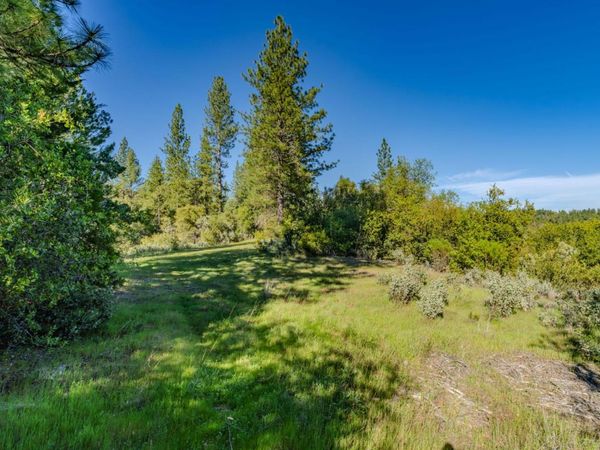 16480 Ponderosa Way, Volcano, CA 95689