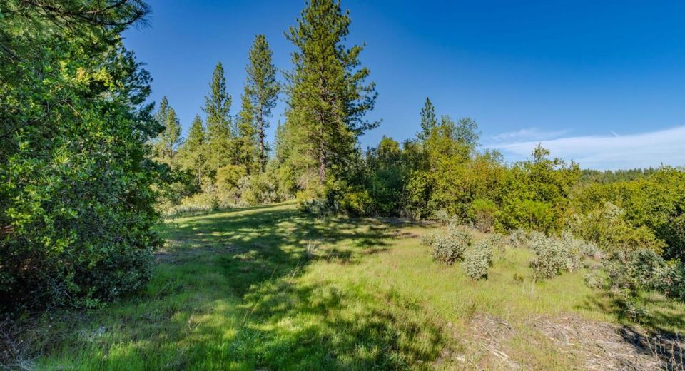 16480 Ponderosa Way, Volcano, CA 95689 Photo