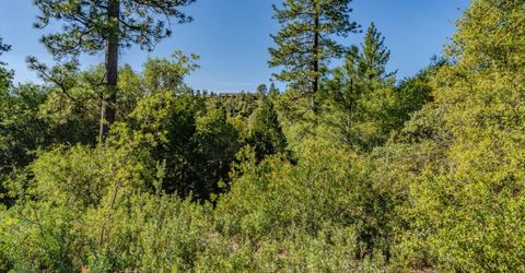 16480 Ponderosa Way, Volcano, CA 95689 Photo