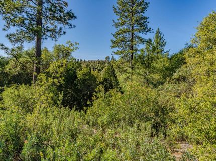 16480 Ponderosa Way, Volcano, CA 95689 Photo