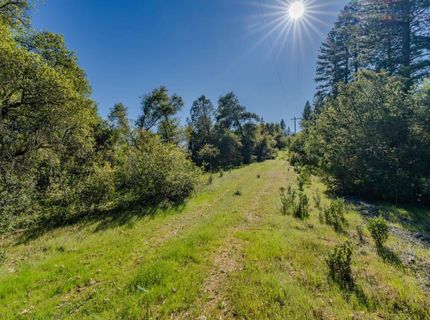 16480 Ponderosa Way, Volcano, CA 95689 Photo