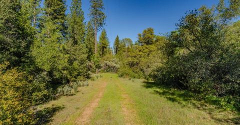 16480 Ponderosa Way, Volcano, CA 95689 Photo